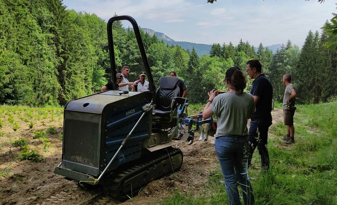 La filière française innove pour un sapin plus durable