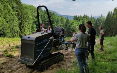 La filière française innove pour un sapin plus durable