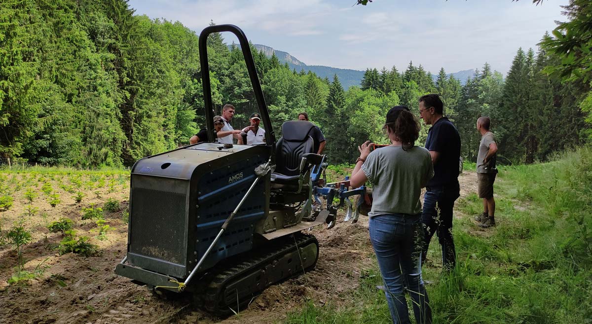 sapin-monoculture-ou-biodiversite-geree-02 Sapin plus durable